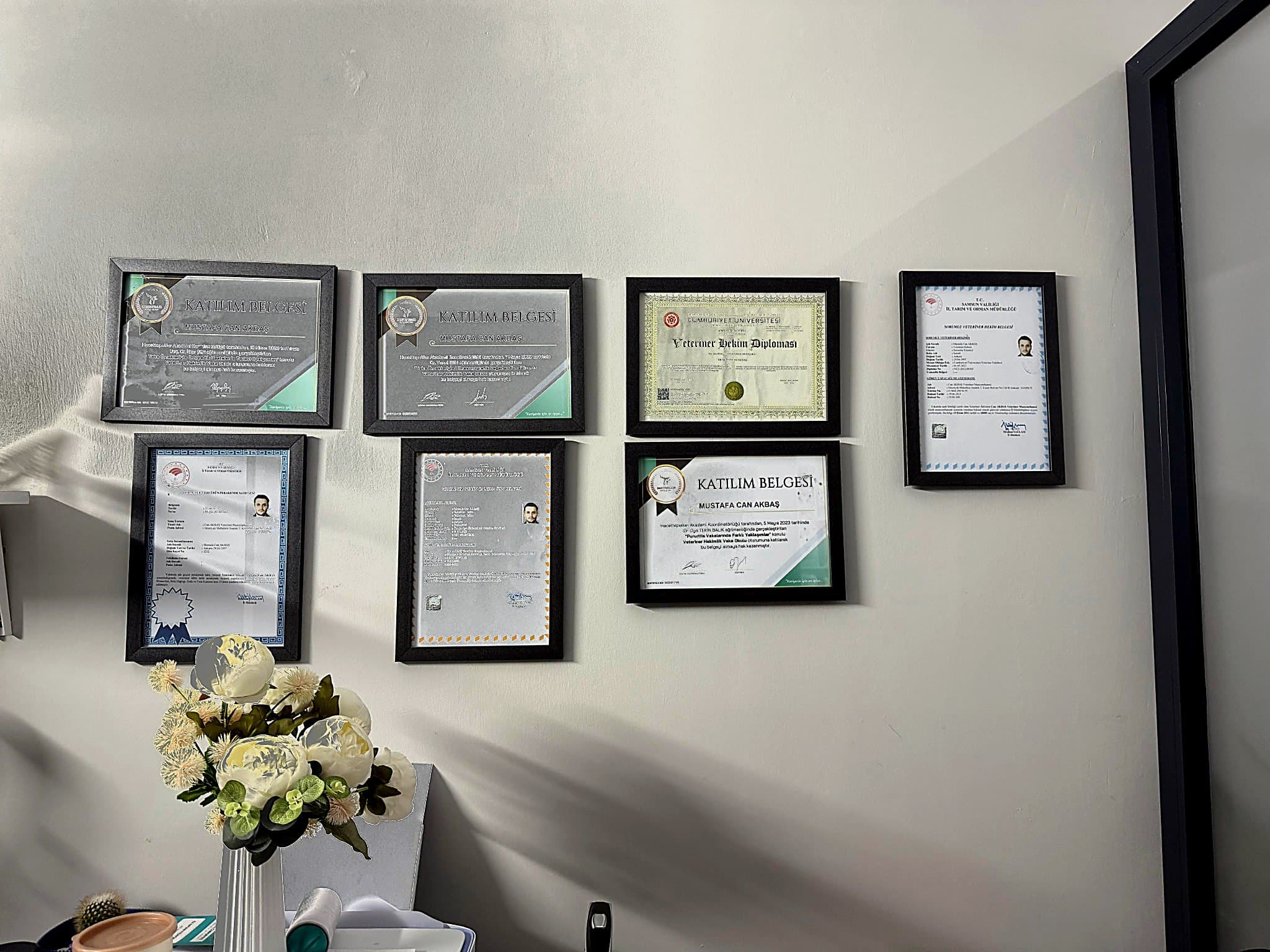 Veteriner Hekim Mustafa Can Akbaş diploma ve katılım belgeleri